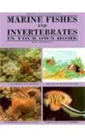 Stock image for Marine Fishes and Invertebrates in Your Own Home for sale by Better World Books