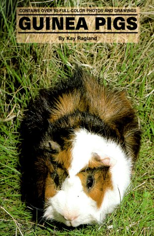 Beispielbild fr Guinea Pigs zum Verkauf von Wonder Book