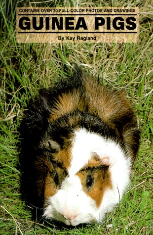 Stock image for Guinea Pigs for sale by SecondSale