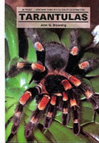 Imagen de archivo de Tarantulas a la venta por BookHolders