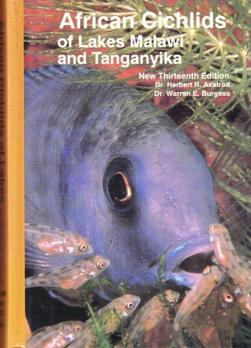 Beispielbild fr African Cichlids Lake Malawi zum Verkauf von ThriftBooks-Dallas