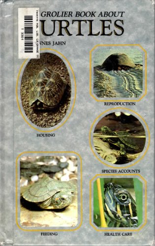 Imagen de archivo de Step by Step Book About Turtles a la venta por HPB-Diamond