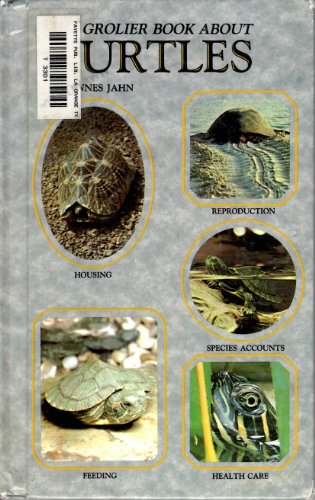 Stock image for Step by Step Book About Turtles for sale by HPB-Diamond