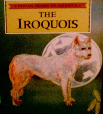 Beispielbild fr The Iroquois zum Verkauf von Better World Books