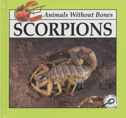 Beispielbild fr Scorpions (Animals Without Bones Discovery Library) zum Verkauf von SecondSale
