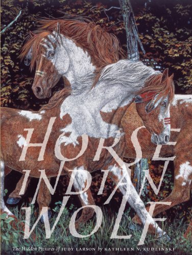 Beispielbild fr Horse Indian Wolf : The Hidden Pictures of Judy Larson zum Verkauf von Better World Books