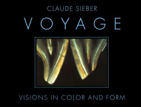 Imagen de archivo de Voyage: Visions in Color and Form a la venta por GF Books, Inc.