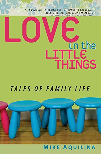 Imagen de archivo de Love in the Little Things: Tales of Family Life a la venta por SecondSale