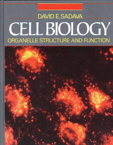 Beispielbild fr Cell Biology : Organelle Structure zum Verkauf von Better World Books
