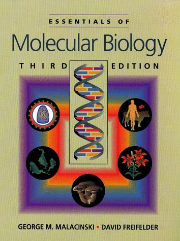 Essentials of Molecular Biology (9780867208603) by Malacinski, George M.; Freifelder, David