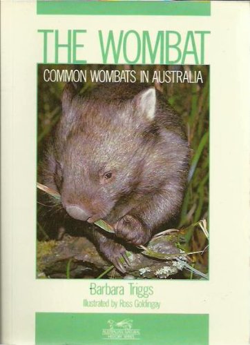 Stock image for The Wombat: Common Wombats in Australia (Australian Natural History Series) for sale by Caryota Book Exchange