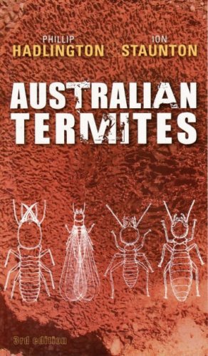 Stock image for Australian Termites for sale by THE SAINT BOOKSTORE