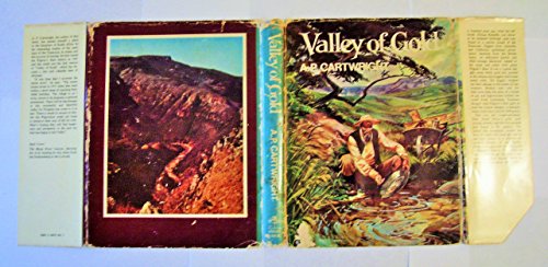 9780869780435: Valley of Gold