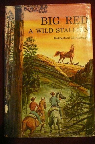 Stock image for Big Red, a Wild Stallion, for sale by ThriftBooks-Atlanta