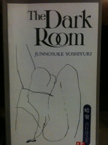 Imagen de archivo de The Dark Room a la venta por Wonder Book