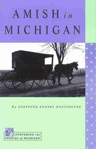 Beispielbild fr Amish in Michigan zum Verkauf von Better World Books