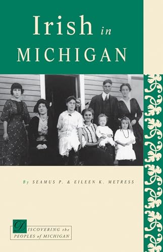 Stock image for Irish in Michigan for sale by Lowry's Books
