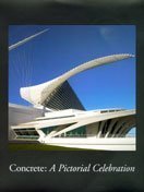 Stock image for CONCRETE; A PICTORIAL CELEBRATION for sale by Artis Books & Antiques