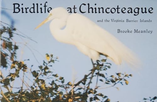 Beispielbild fr Birdlife at Chincoteague and the Virginia Barrier Islands zum Verkauf von Blackwell's