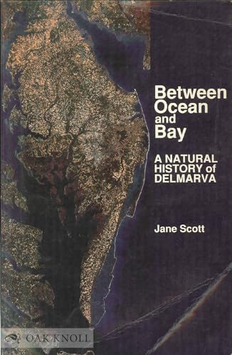 9780870334122: Between Ocean and Bay: A Natural History of Delmarva