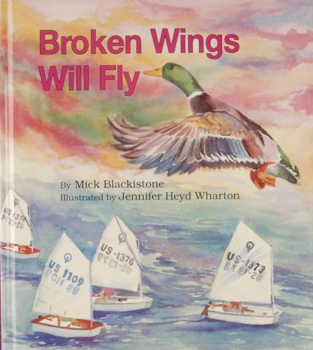 Beispielbild fr Broken Wings Will Fly zum Verkauf von SecondSale