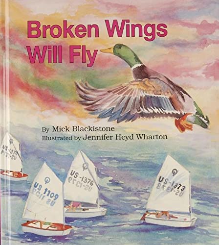 Imagen de archivo de Broken Wings Will Fly a la venta por Better World Books