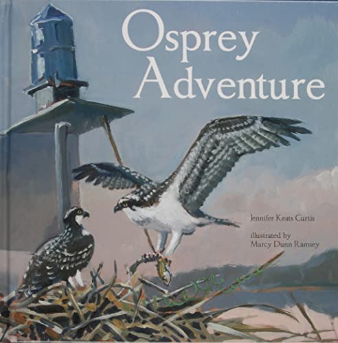 Imagen de archivo de Osprey Adventure a la venta por Front Cover Books