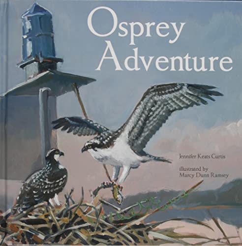 Stock image for Osprey Adventure for sale by Better World Books