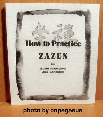 Imagen de archivo de How to Practice ZAZEN a la venta por Books of the Smoky Mountains