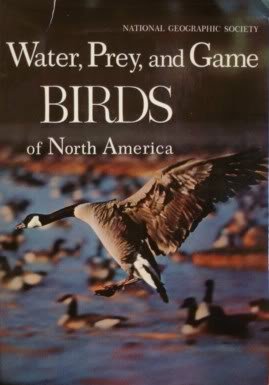 Stock image for Water, Prey, and Game Birds of North America for sale by ThriftBooks-Atlanta