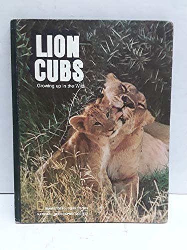 Stock image for Lion Cubs for sale by Better World Books