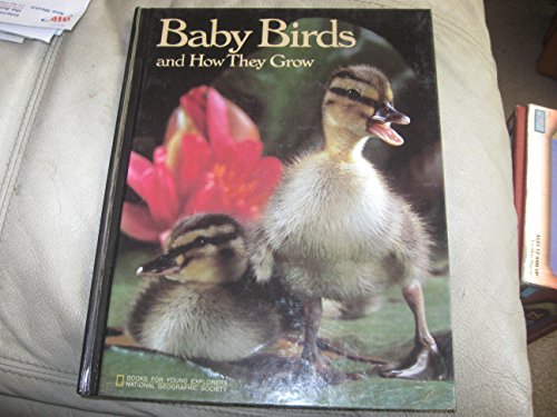 Stock image for Baby Birds and How They Grow for sale by Once Upon A Time Books