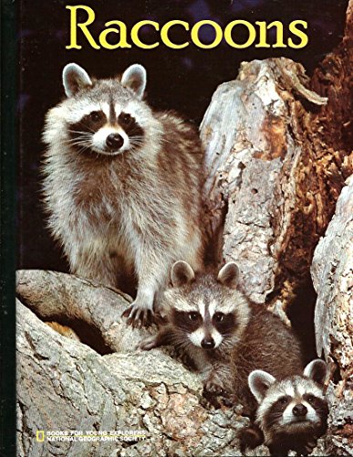 Beispielbild fr Raccoons (Books for Young Explorers) zum Verkauf von SecondSale