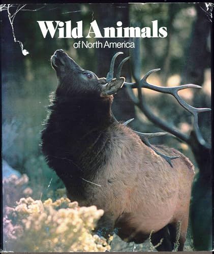 Imagen de archivo de Wild Animals of North America a la venta por Prairie Creek Books LLC.