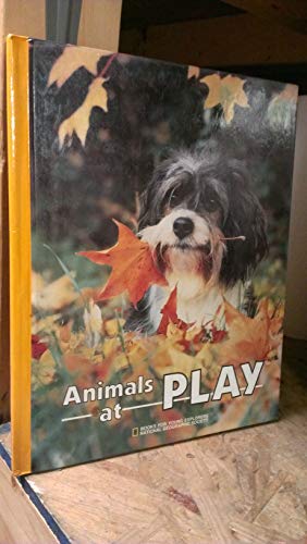Imagen de archivo de Animals at Play (Books for Young Explorers) a la venta por SecondSale
