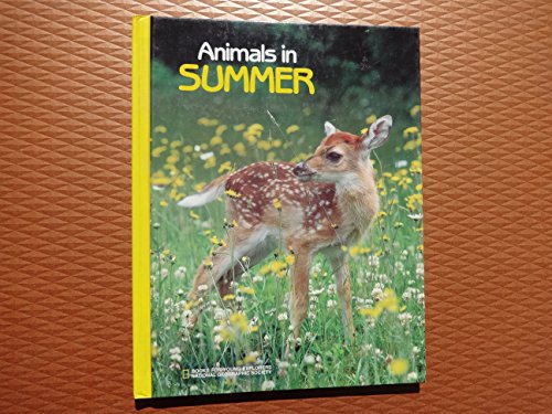 Stock image for Animals in Summer for sale by Better World Books