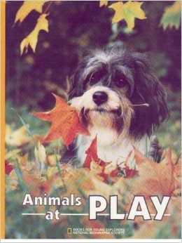 Imagen de archivo de Animals at Play (Books for Young Explorer) (National Geographic Society) a la venta por Jenson Books Inc