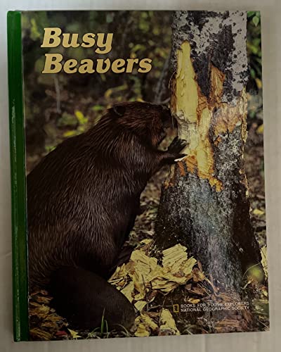 Stock image for Busy Beavers (Books for young explorers) for sale by Jenson Books Inc
