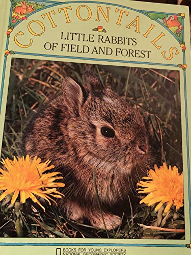 Stock image for Cottontails: Little Rabbits of Field and Forest (Books for Young Explorers) for sale by Once Upon A Time Books