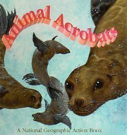 Stock image for Animal Acrobats: Pop-up Book (National Geographic Action Books) for sale by Alexander's Books