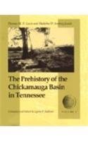 Stock image for The Prehistory of the Chickamauga Basin in Tennessee, Vol. 1 for sale by HPB-Red