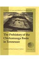 Stock image for The Prehistory of the Chickamauga Basin in Tennessee, Vol. 2 for sale by HPB-Red