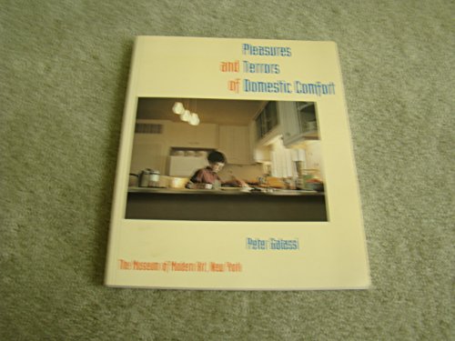 Beispielbild fr Pleasures and Terrors of Domestic Comfort zum Verkauf von Magers and Quinn Booksellers