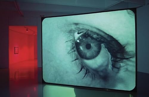 9780870703904: Douglas Gordon: Timeline: Motion / Pictures