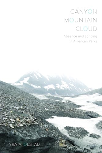 Stock image for Canyon, Mountain, Cloud: Absence and Longing in American Parks for sale by SecondSale