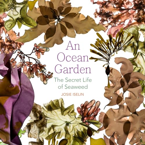 Imagen de archivo de An Ocean Garden: The Secret Life of Seaweed [Paperback] Iselin, Josie a la venta por Lakeside Books