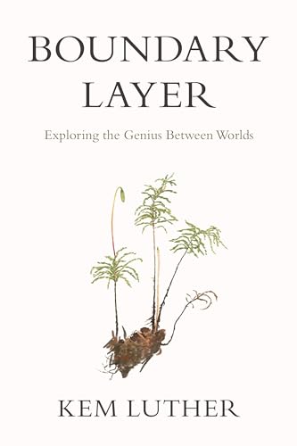 Imagen de archivo de Boundary Layer : Exploring the Genius Between Worlds a la venta por Better World Books
