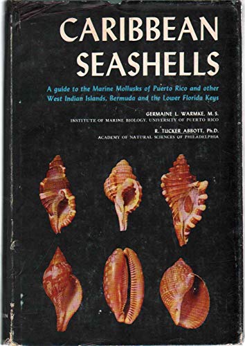 Stock image for Caribbean Seashells for sale by Better World Books: West