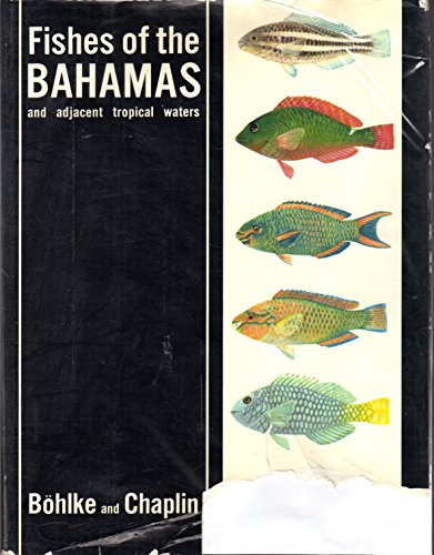 Stock image for Fishes of the Bahamas and Adjacent Tropical Waters for sale by Riverow Bookshop