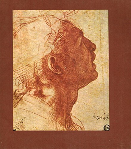 Stock image for Italian Renaissance drawings from the Musee du Louvre, Paris: Roman, Tuscan, and Emilian Schools, 1500-1575: [Catalog of an exhibition] the . of Art, October 11, 1974-January 5, 1975 for sale by Bulk Book Warehouse